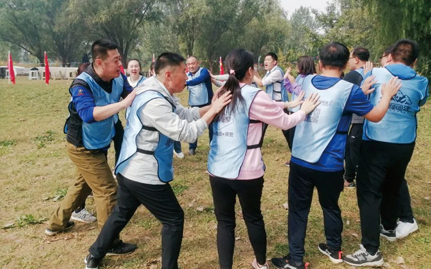 凝心聚力 熔煉團隊｜金橋集團金秋團建活動精彩集錦！